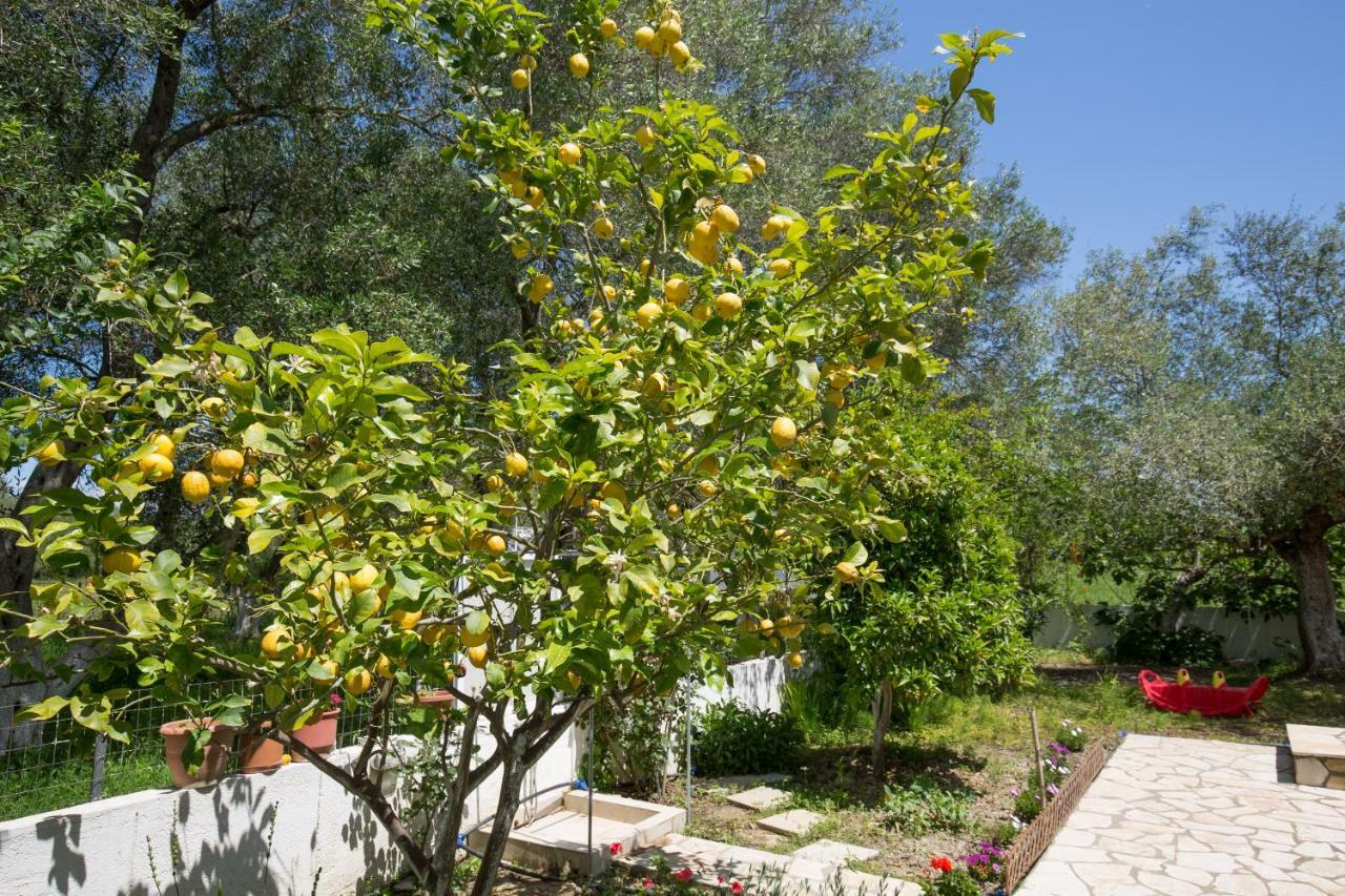 Karia Holiday Home Lefkímmi Exterior foto